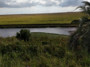 Chui - caminhos e aventuras 008