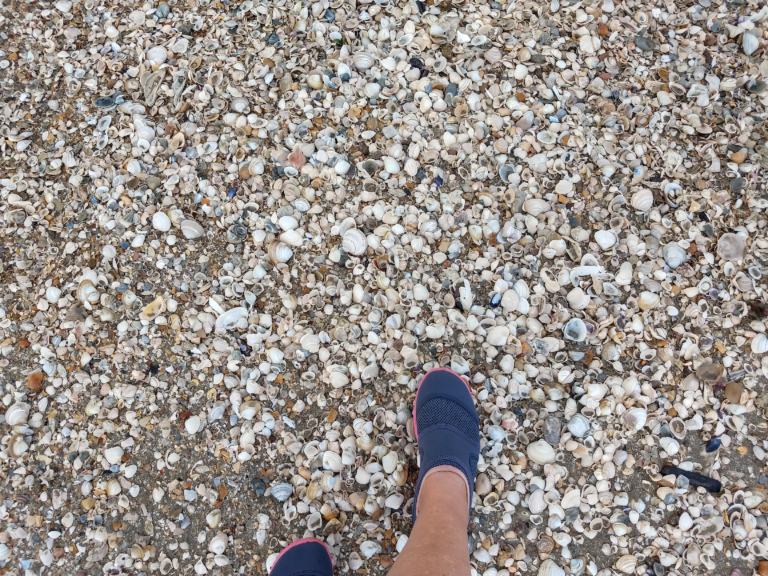 Entrada no Uruguai e camping Fortaleza 008