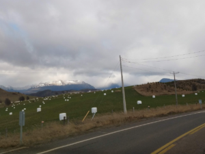 Chaitén – CL: Carretera Austral
