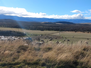 Chaitén – CL: Carretera Austral