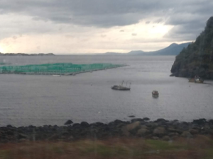Puerto Montt 004