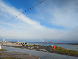 Puerto Natales – CL 6