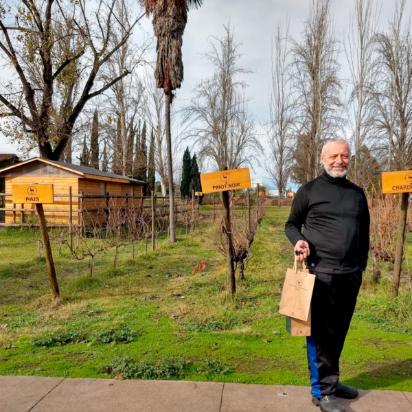 Vale do Maipo – CL Rumo à Vinícolas (7)