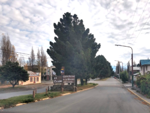 el Calafate - Argentina 12